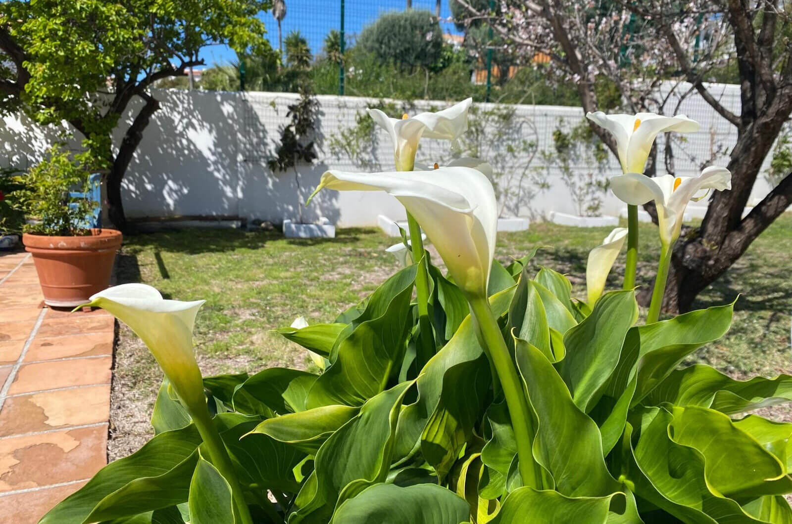 Hiszpania, Estepona, Estepona East