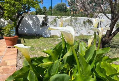 Hiszpania, Estepona, Estepona East