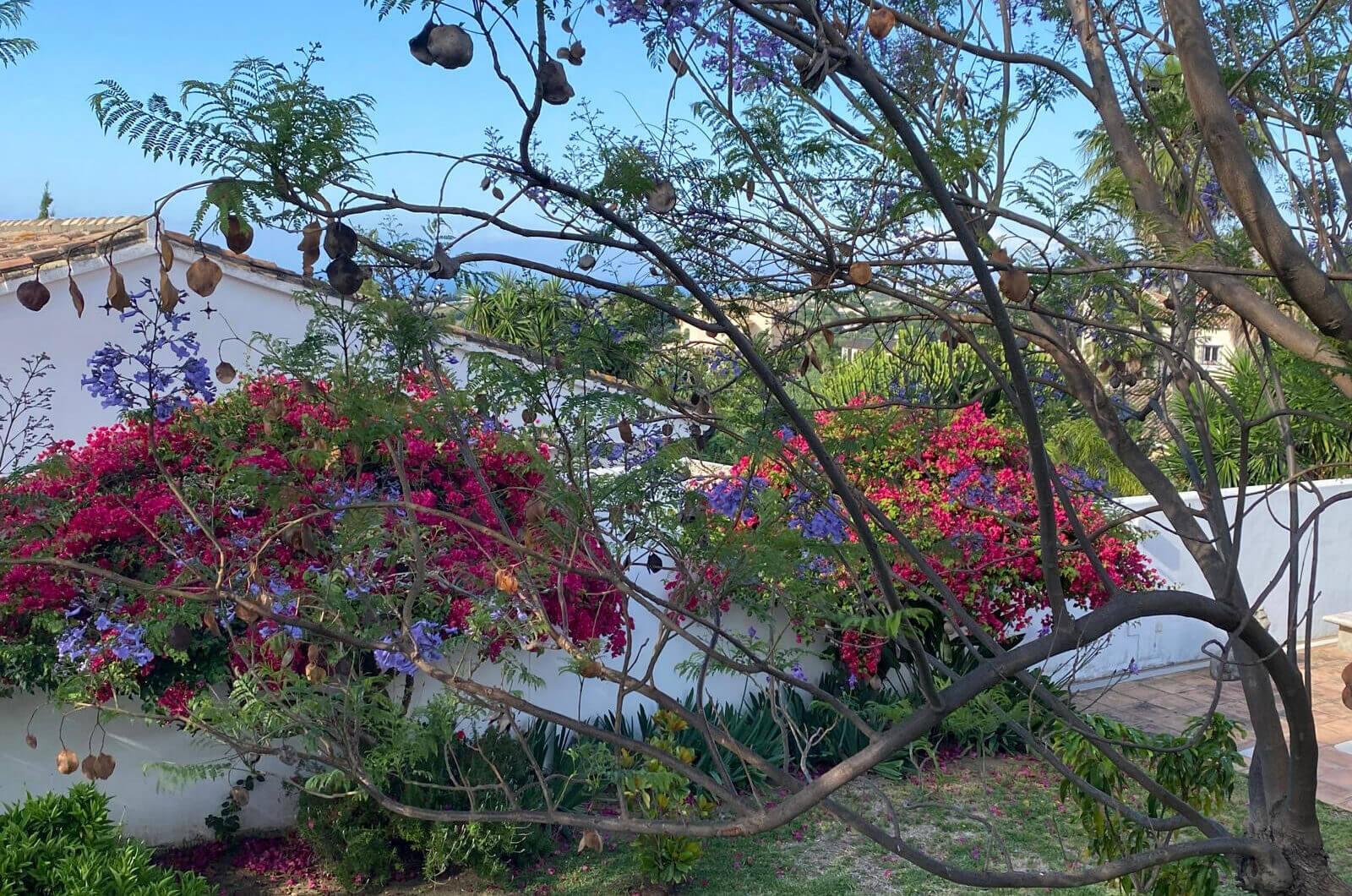 Hiszpania, Estepona, Estepona East