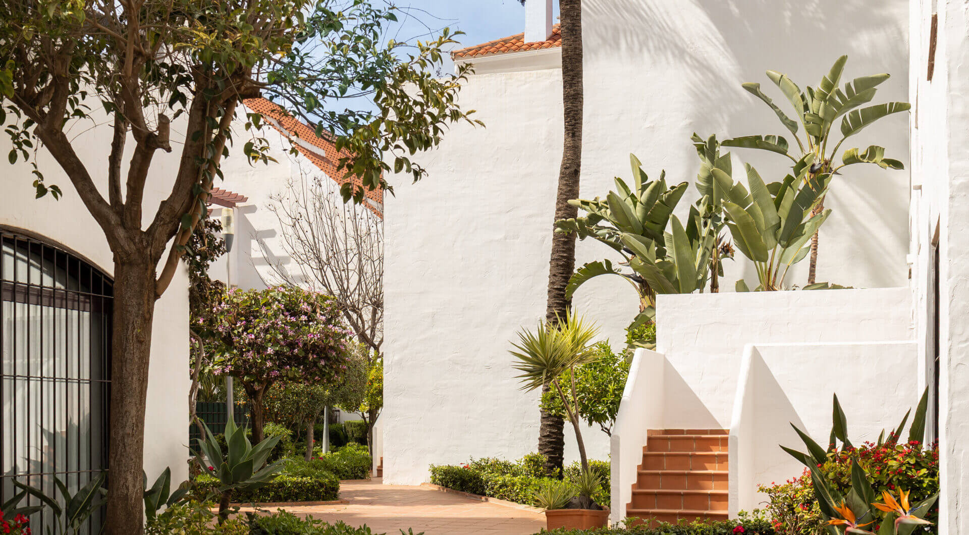 Hiszpania, Marbella, Nueva Andalucia