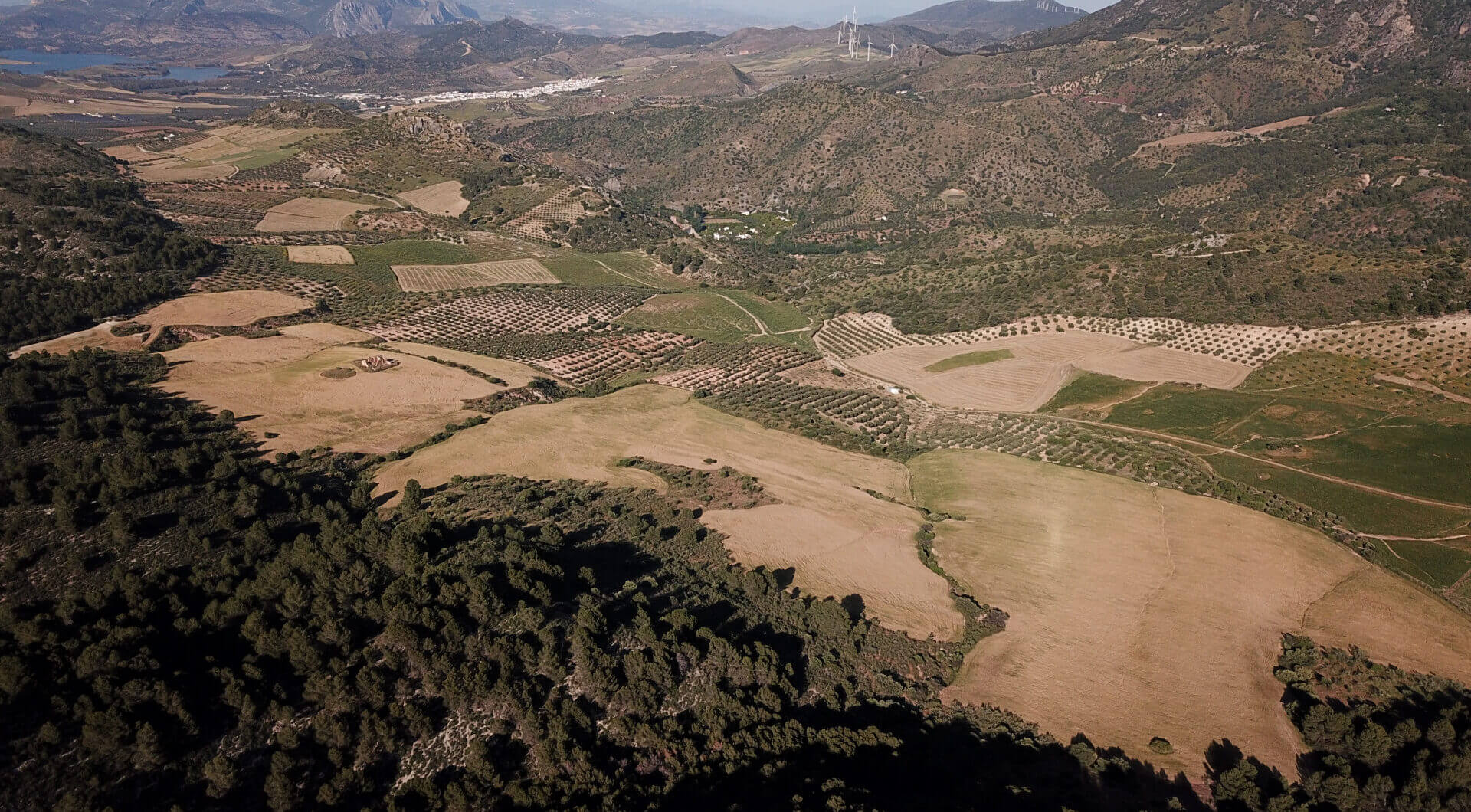 Hiszpania, Ardales