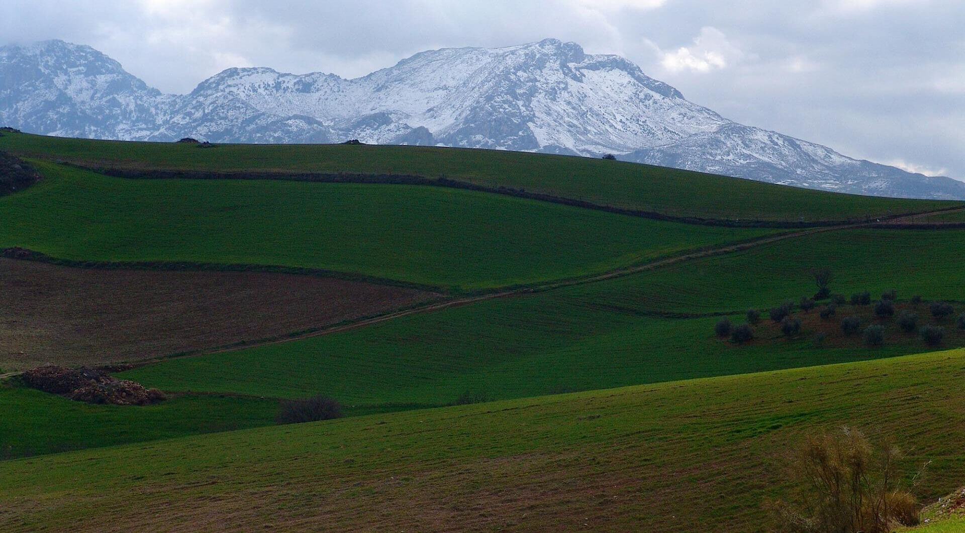 Hiszpania, Ardales