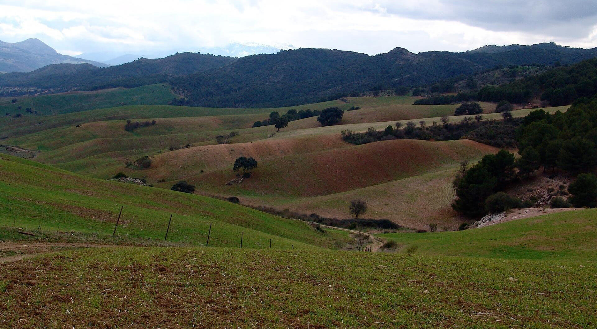 Hiszpania, Ardales