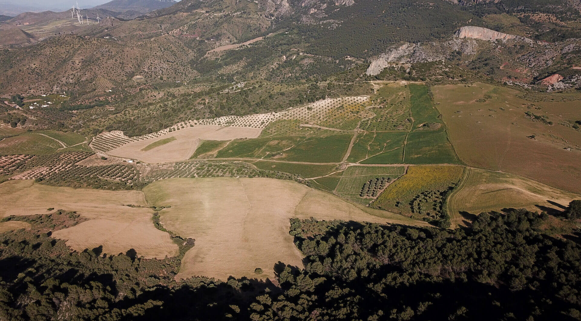 Hiszpania, Ardales