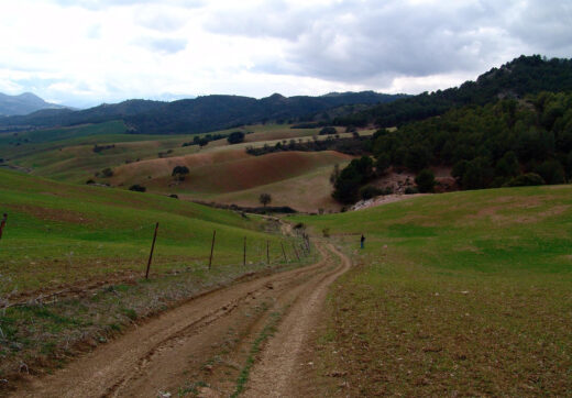 Hiszpania, Ardales