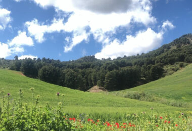 Hiszpania, Ardales