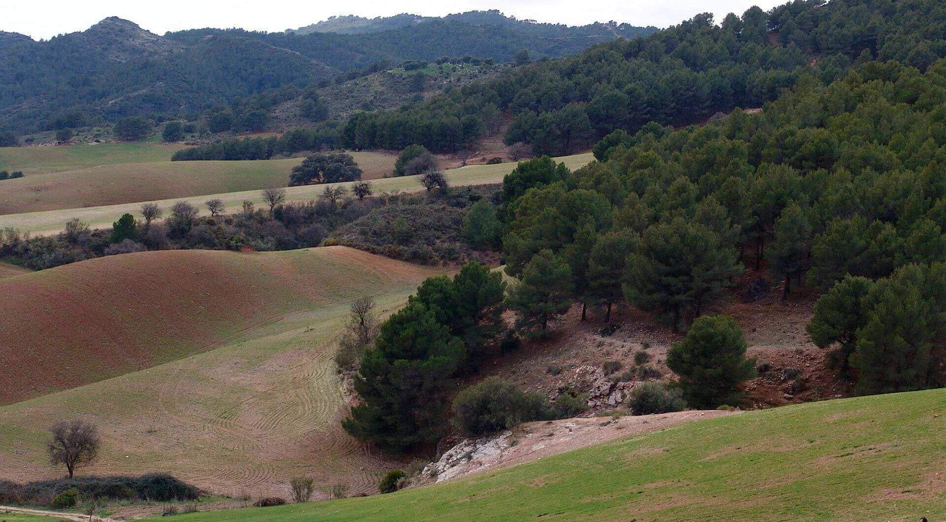 Hiszpania, Ardales