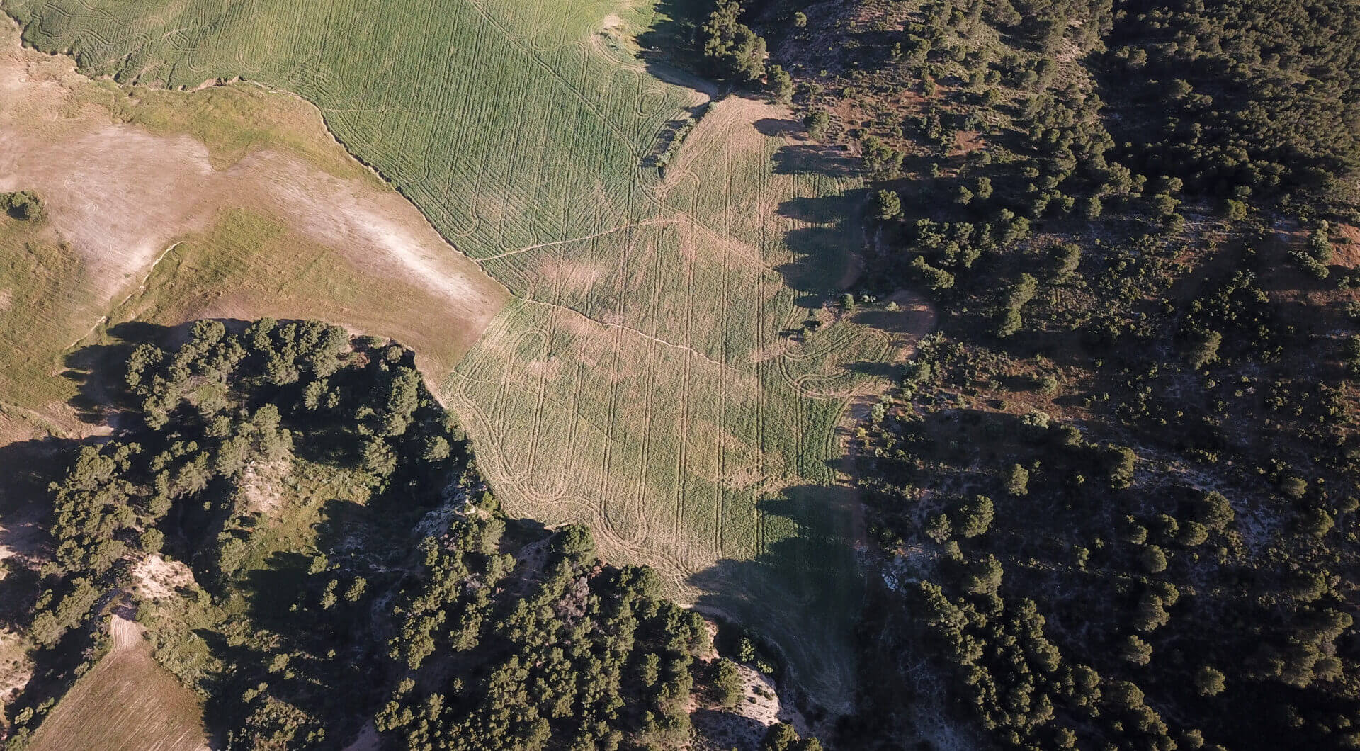 Hiszpania, Ardales