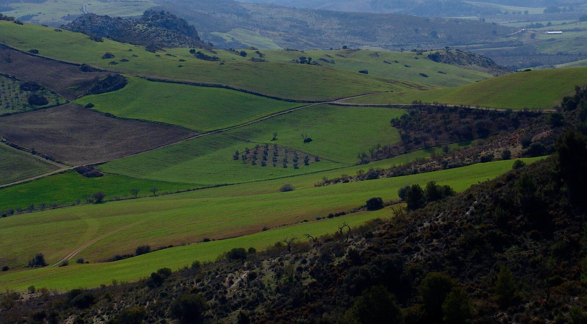 Hiszpania, Ardales