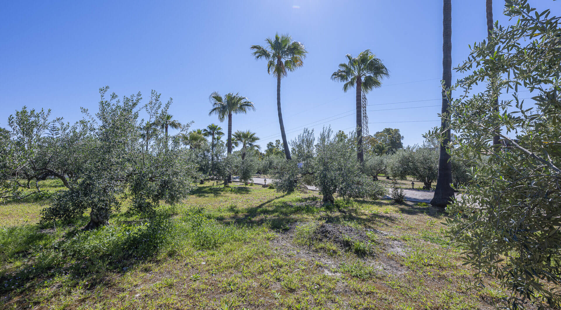 Hiszpania, Estepona, Estepona East