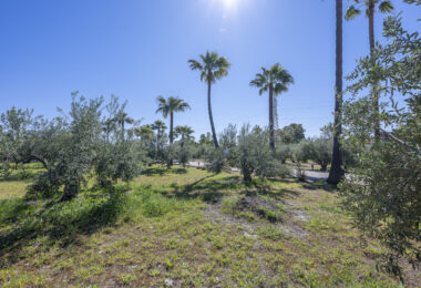 Hiszpania, Estepona, Estepona East