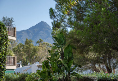 Hiszpania, Marbella, Nueva Andalucia