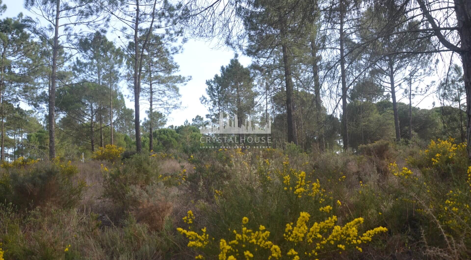 Portugalia, Comporta / Alentejo Coast, Comporta