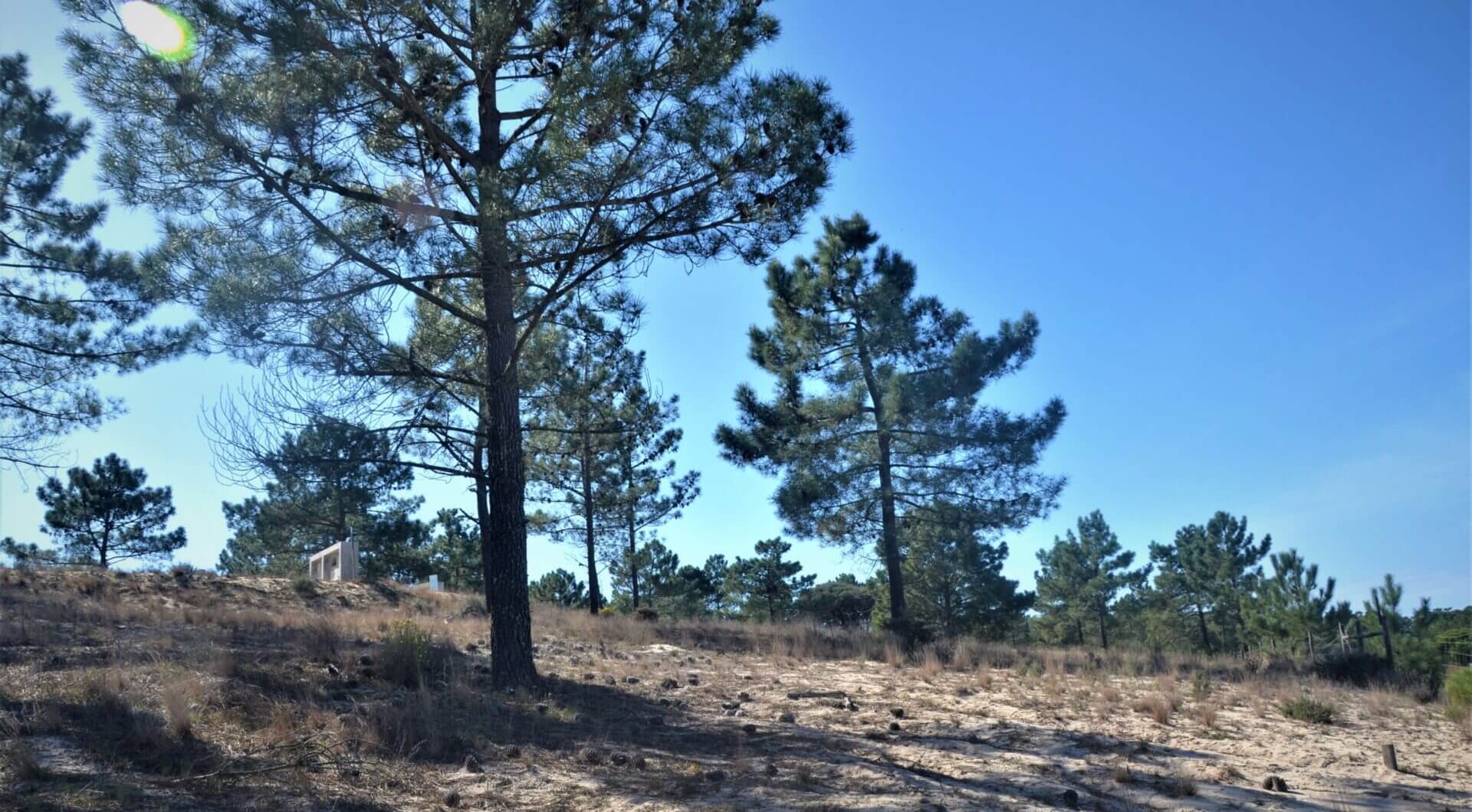 Portugalia, Comporta / Alentejo Coast, Carvalhal