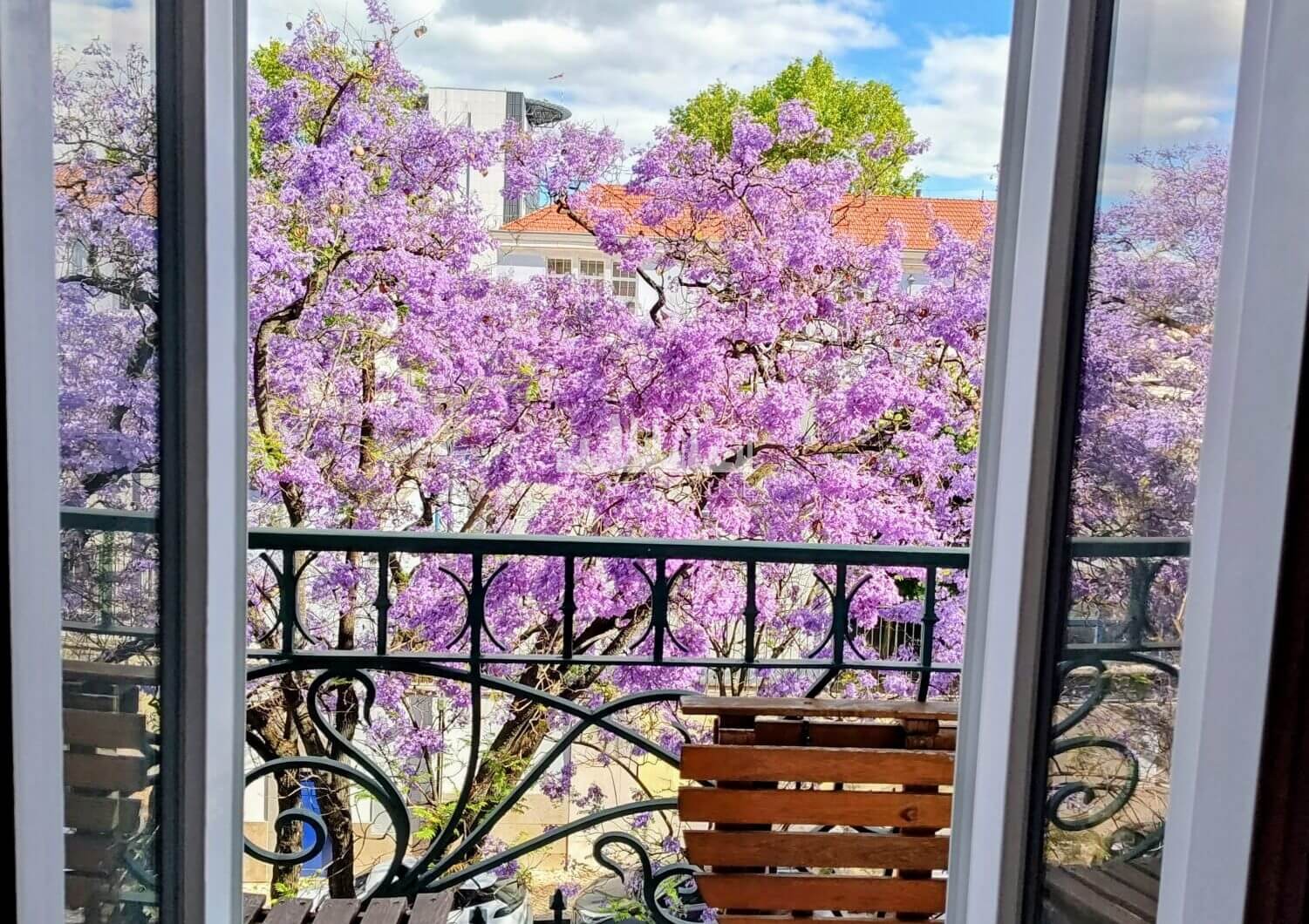 Portugalia, Lisbon, Saldanha