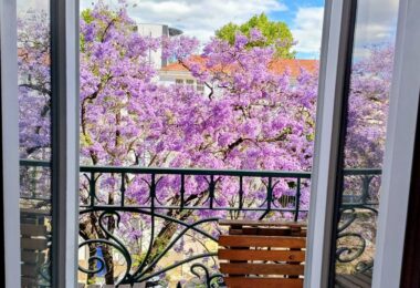 Portugalia, Lisbon, Saldanha