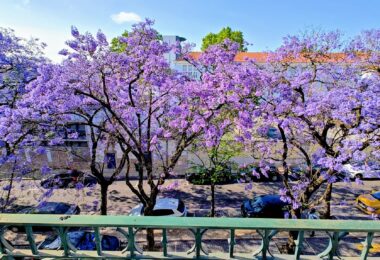 Portugalia, Lisbon, Saldanha