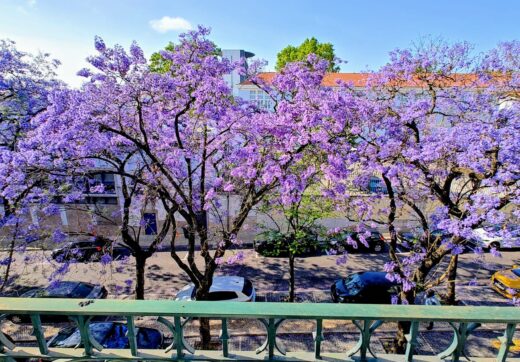 Portugalia, Lisbon, Saldanha