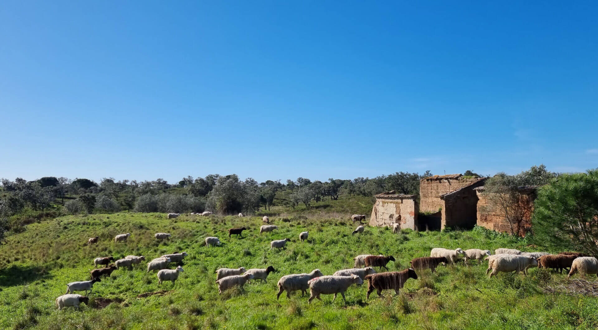Portugalia, Comporta / Alentejo Coast, Comporta