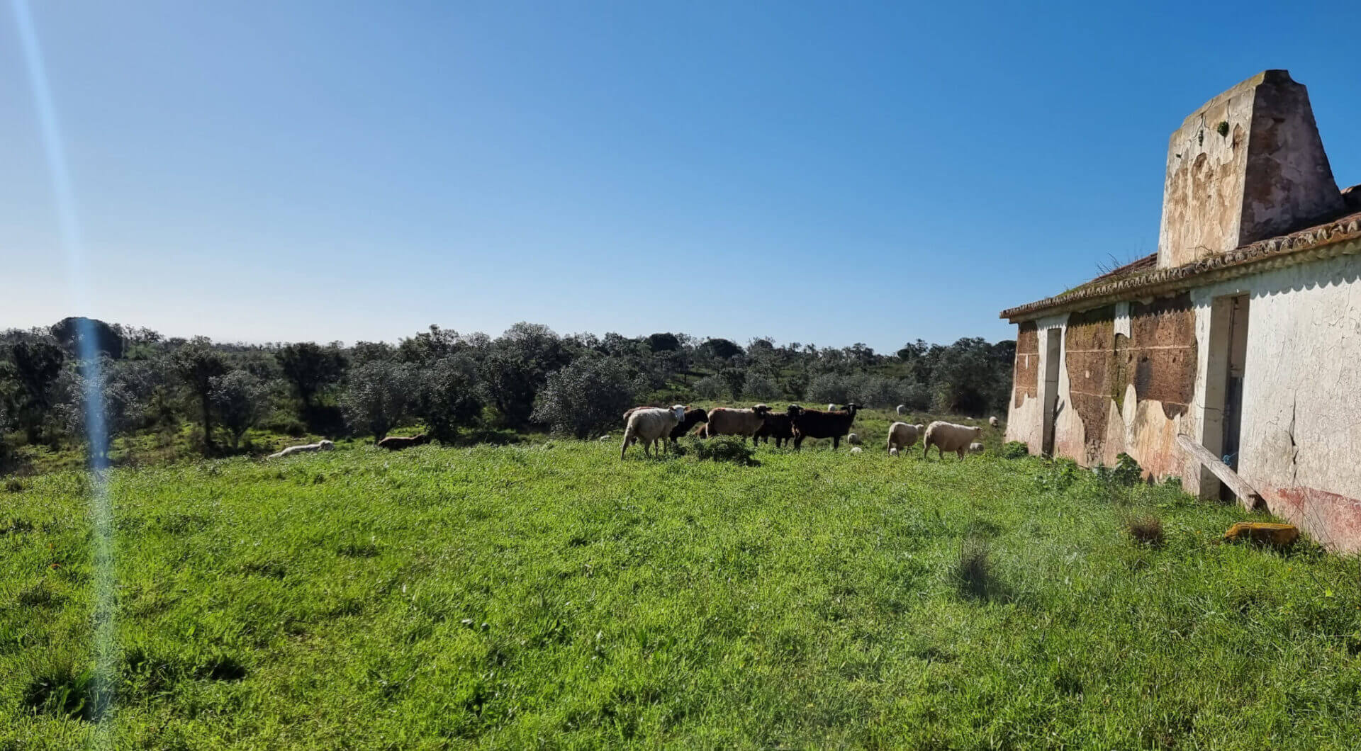 Portugalia, Comporta / Alentejo Coast, Comporta