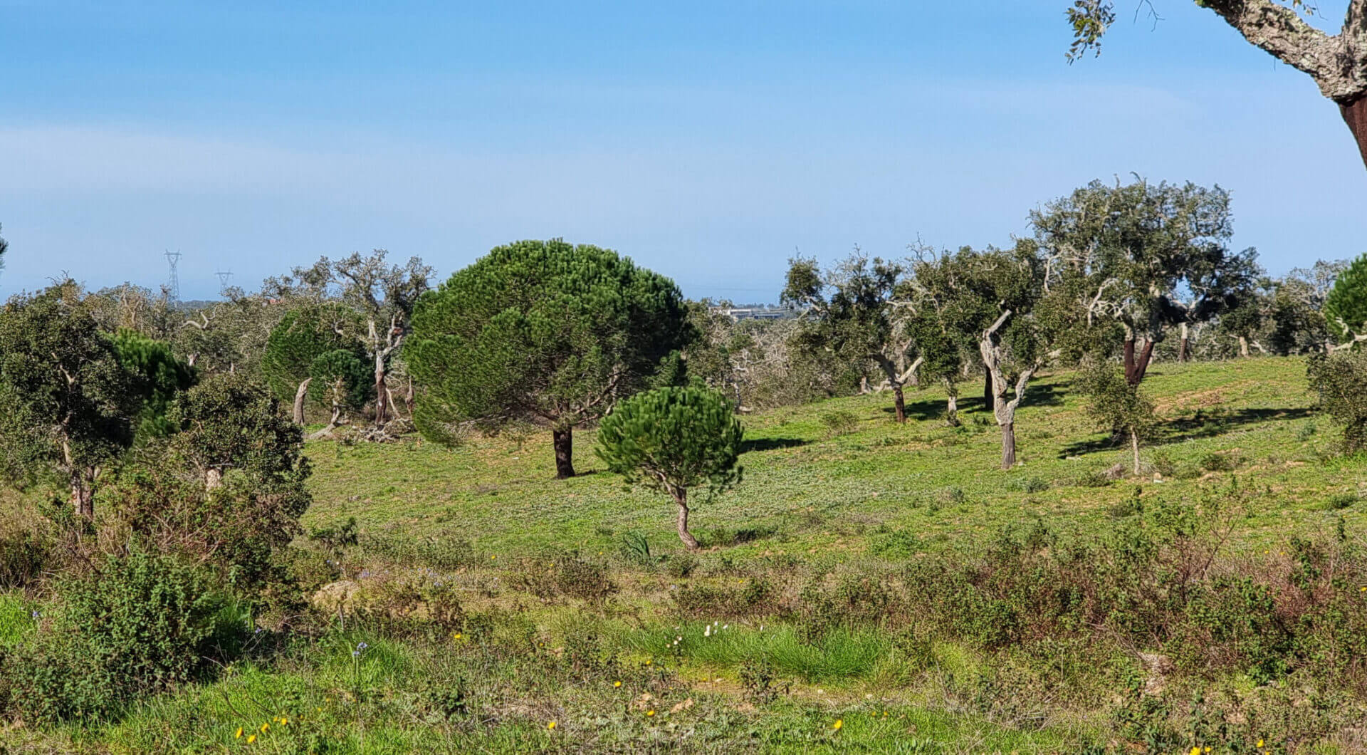 Portugalia, Comporta / Alentejo Coast, Comporta