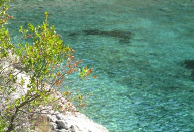 Chorwacja, Korčula