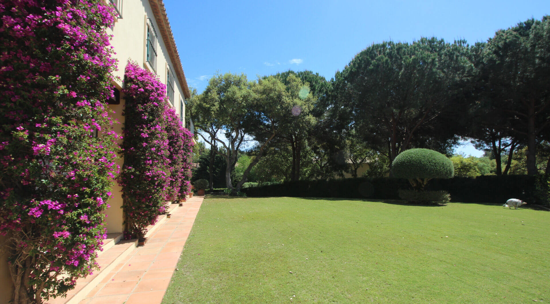 Hiszpania, Sotogrande, Sotogrande Alto