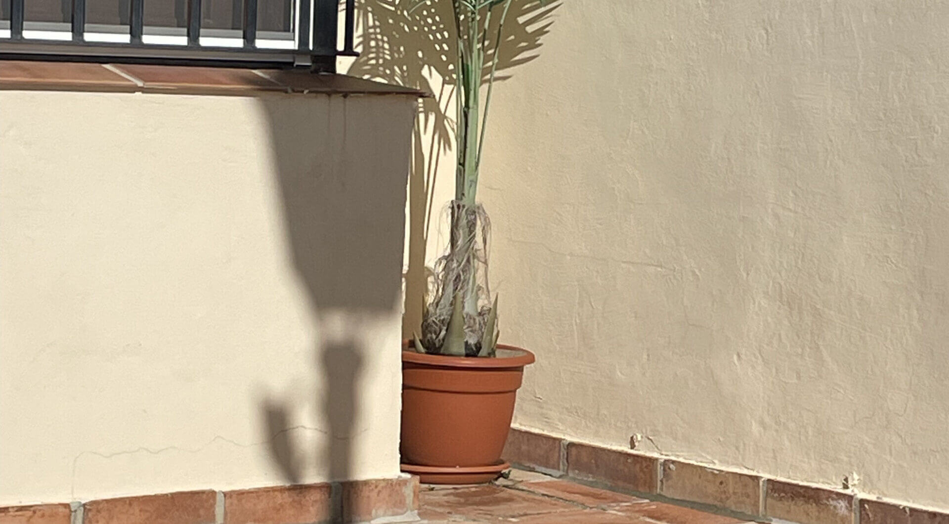 Hiszpania, Benahavis