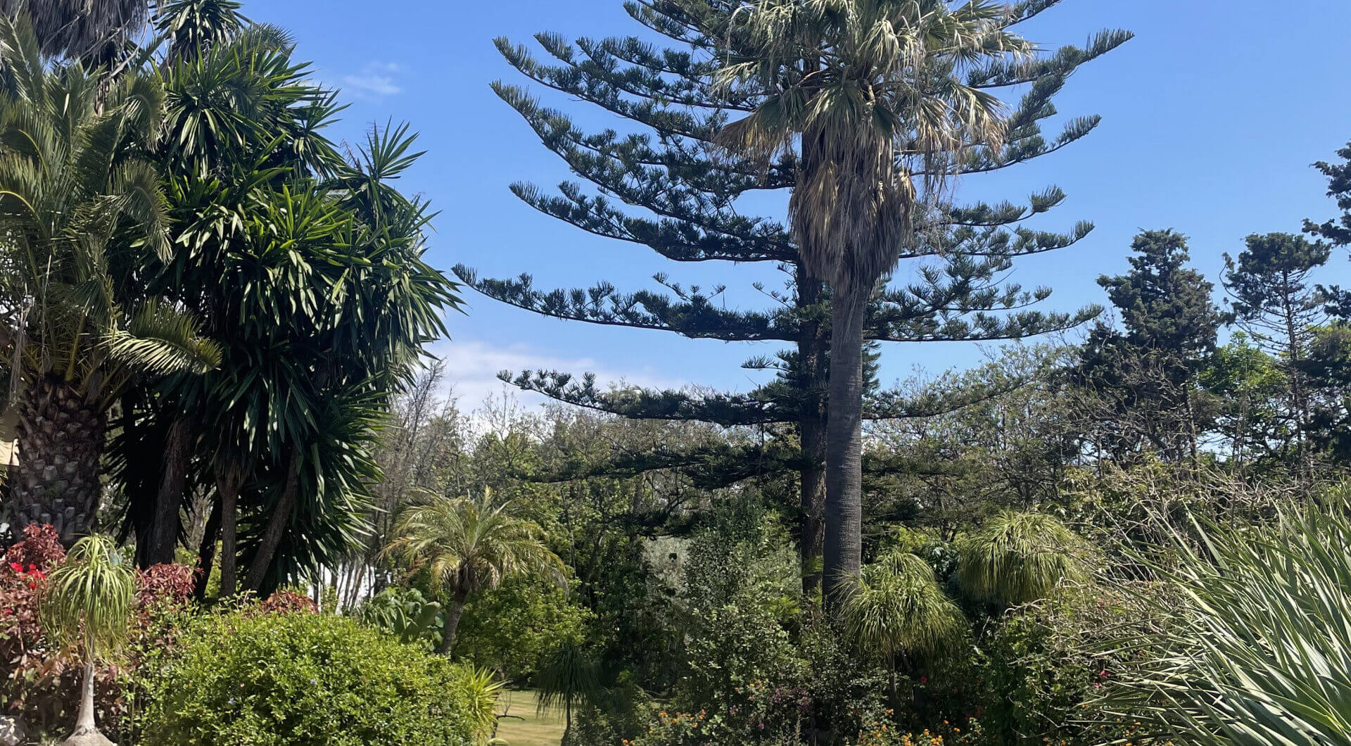 Hiszpania, Estepona, Estepona East
