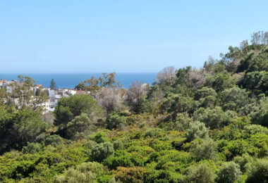 Hiszpania, Marbella, Marbella Este