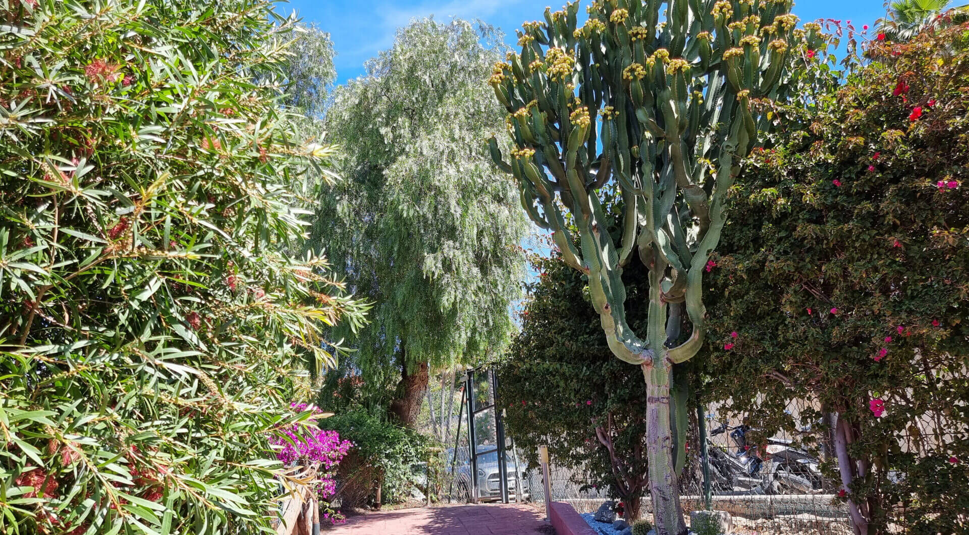 Hiszpania, Marbella, Marbella Este