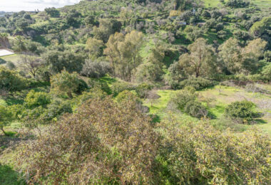 Hiszpania, Estepona, Altos de Estepona