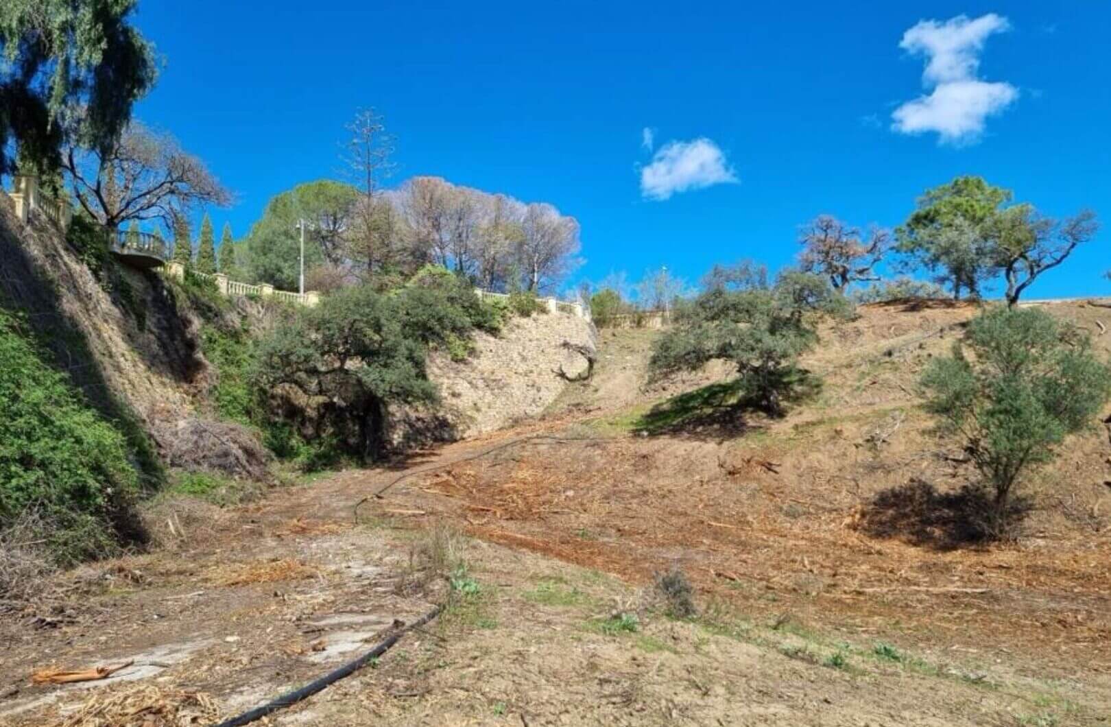 Hiszpania, Benahavis, El Madroñal