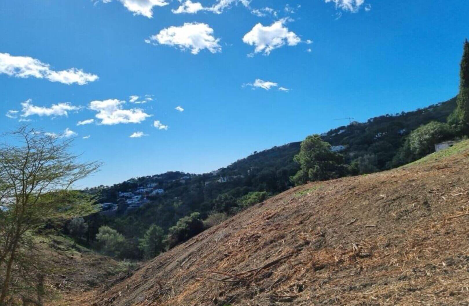 Hiszpania, Benahavis, El Madroñal