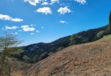Hiszpania, Benahavis, El Madroñal