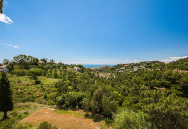 Hiszpania, Benahavis, El Madroñal