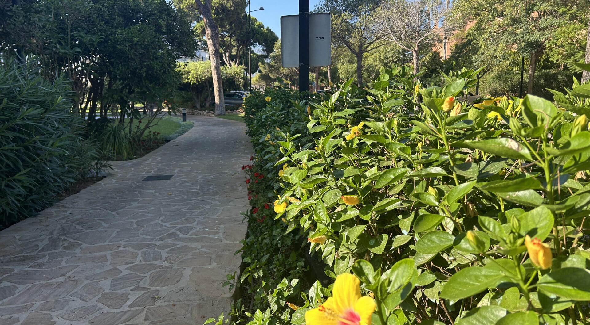 Hiszpania, Estepona, Estepona East