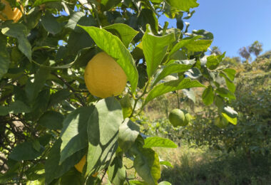 Hiszpania, Estepona, Estepona East