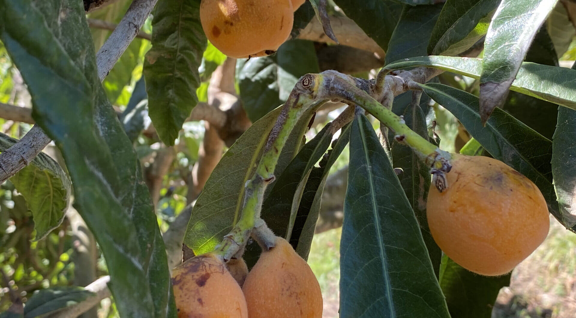 Hiszpania, Estepona, Estepona East