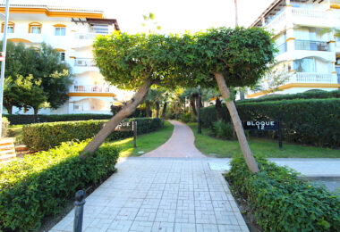 Hiszpania, Marbella, Nueva Andalucia