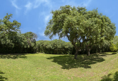 Hiszpania, Sotogrande, Sotogrande Alto