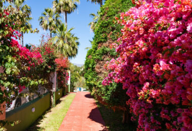 Hiszpania, Estepona, Estepona East