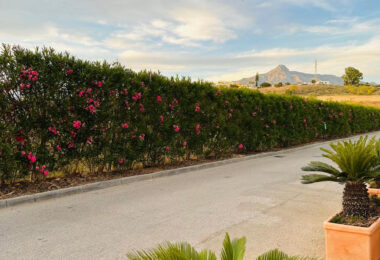 Hiszpania, Marbella, Nueva Andalucia