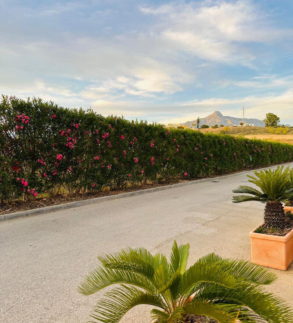 Hiszpania, Marbella, Nueva Andalucia