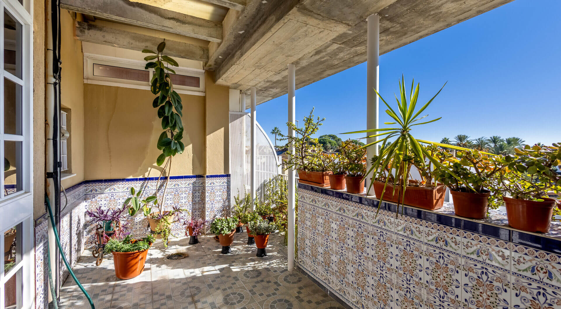 Hiszpania, Jerez de la Frontera
