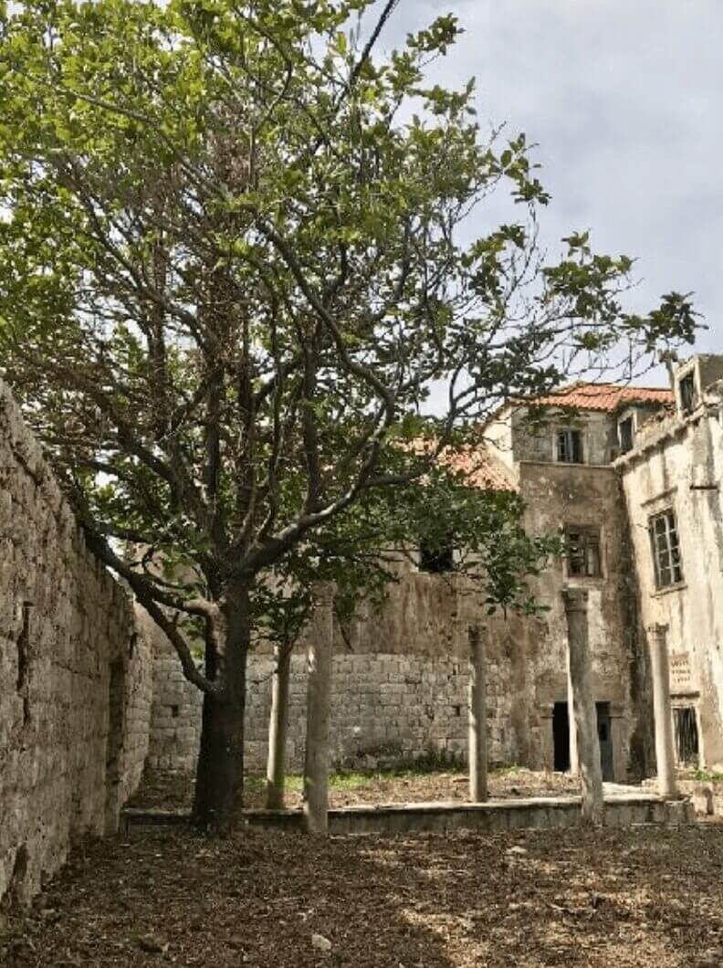 Chorwacja, Dubrovnik