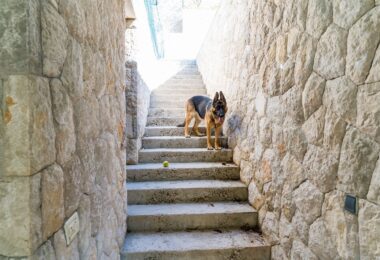 Chorwacja, Dubrovnik