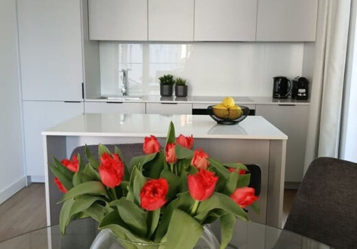 Apartament | Domaniewska 24 | Podwójny garaż