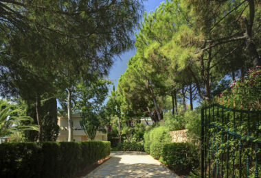Hiszpania, Marbella