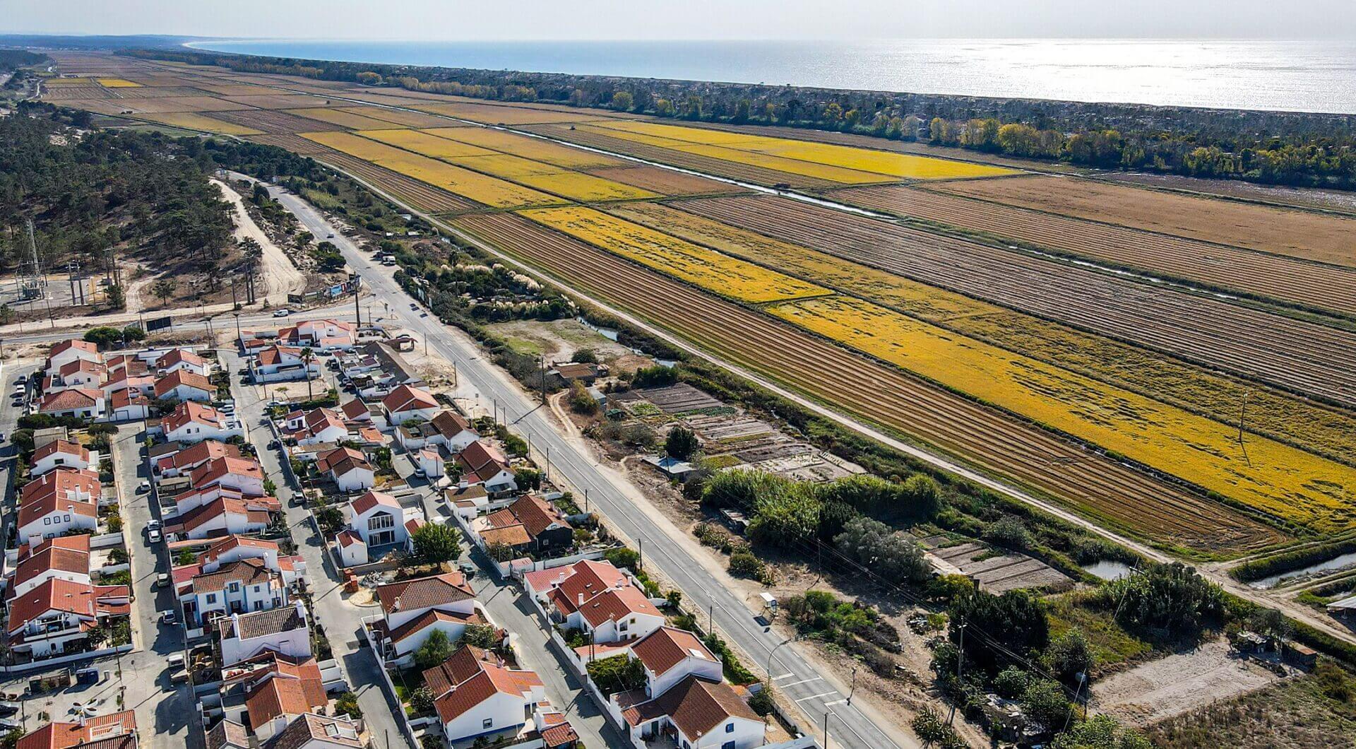 Portugalia, Comporta / Alentejo Coast, Comporta